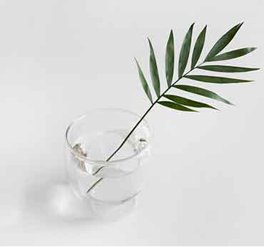 哪里买最放心的轰炸电话软件免费版在线轰炸